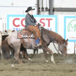 Magic March NCHA Shows