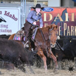 Last Chance NCHA Show